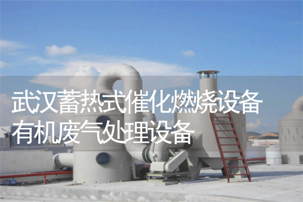 武汉蓄热式催化燃烧设备 有机废气处理设备